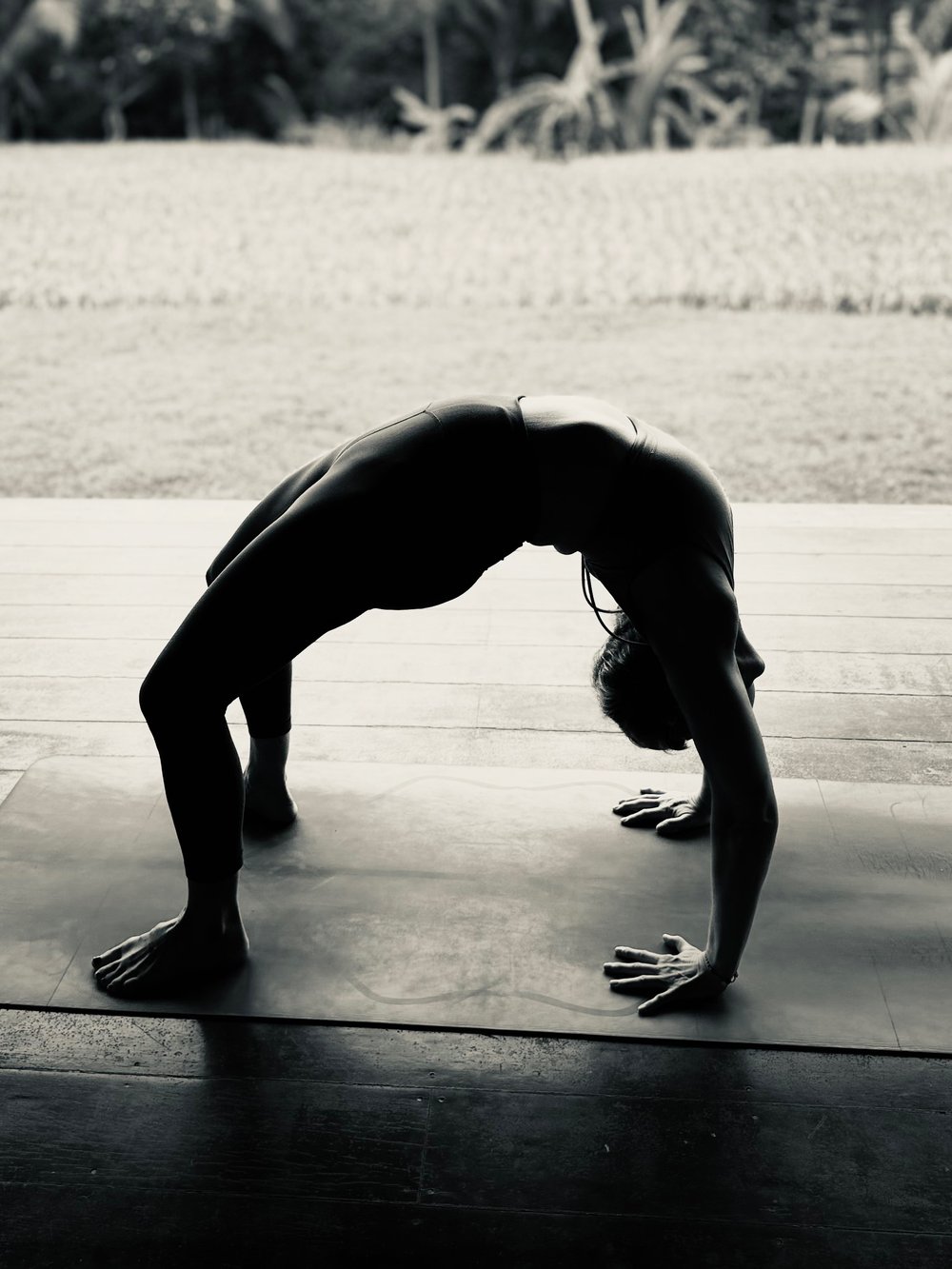 Gretchen in wheel pose, silhouetted against a rice field